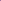 Lavender Flower Shirt