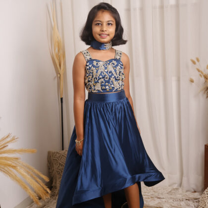 Blue Skirt Wid Embellished Top