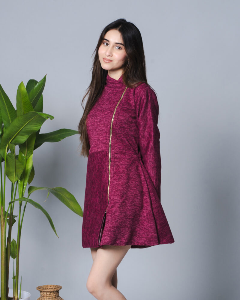 3 in 1 Wine Dress