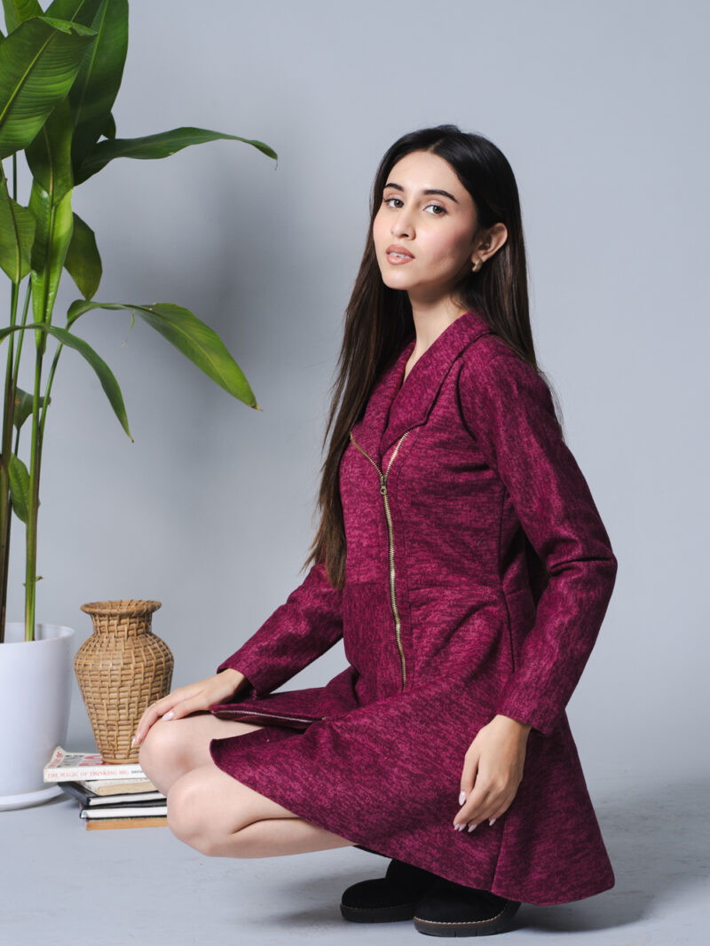 3 in 1 Wine Dress - Image 6